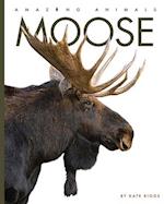 Moose