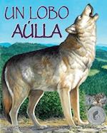 Un Lobo Aúlla (One Wolf Howls in Spanish)