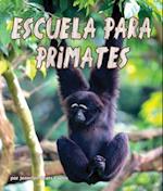 Escuela Para Primates