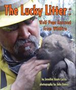 The Lucky Litter