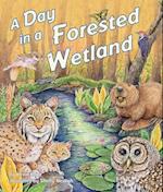 A Day in a Forested Wetland