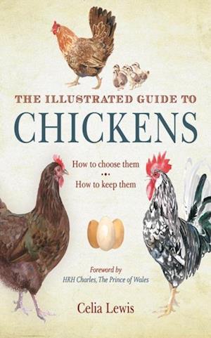 Illustrated Guide to Chickens