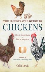Illustrated Guide to Chickens