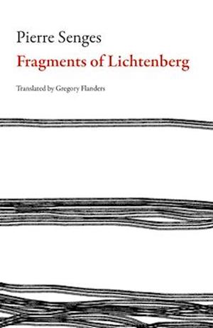 Fragments of Lichtenberg