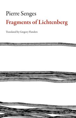 Fragments of Lichtenberg