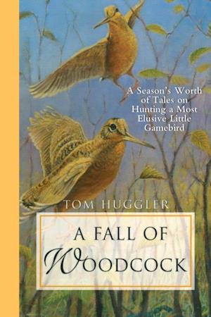 Fall of Woodcock