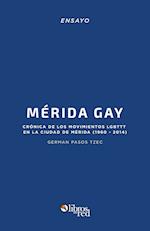 Merida Gay. Cronica de Los Movimientos Lgbttt En La Ciudad de Merida (1960-2014)