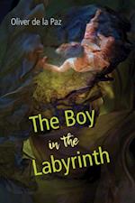 Boy in the Labyrinth