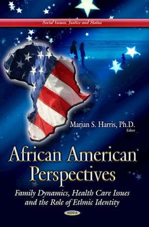 African American Perspectives