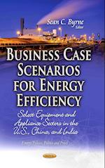 Business Case Scenarios for Energy Efficiency