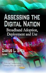 Assessing the Digital Nation