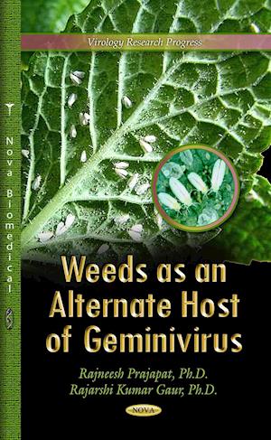 Weeds as an Alternate Host of Geminivirus