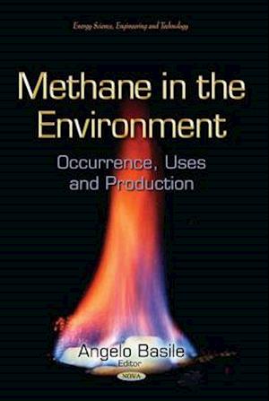 Methane in the Environment