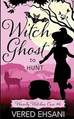 Witch Ghost to Hunt 