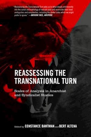 Reassessing the Transnational Turn