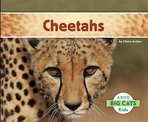 Cheetahs