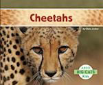 Cheetahs