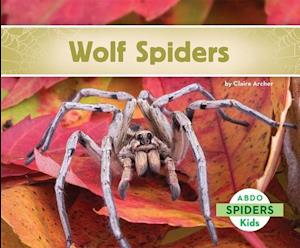 Wolf Spiders