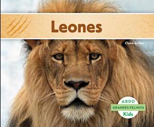 Leones (Lions) (Spanish Version)