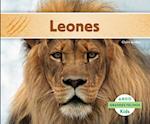 Leones (Lions) (Spanish Version)