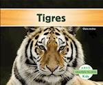 Tigres (Tigers) (Spanish Version)