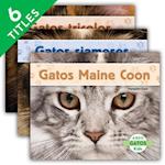 Gatos (Cats Set 1) (Set)
