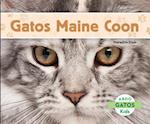 Gatos Maine Coon (Maine Coon Cats) (Spanish Version)