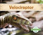 Velociraptor (Spanish Version)