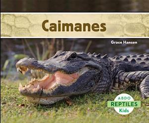 Caimanes = Alligators