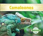 Camaleones (Chameleons) (Spanish Version)