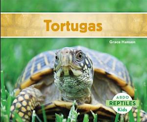 Tortugas (Turtles) (Spanish Version)