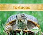 Tortugas (Turtles) (Spanish Version)