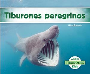 Tiburones Peregrinos (Basking Sharks) (Spanish Version)