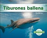 Tiburones Ballena (Whale Sharks) (Spanish Version)