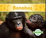 Bonobos