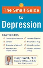 Small Guide to Depression