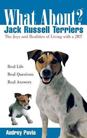 What about Jack Russell Terriers