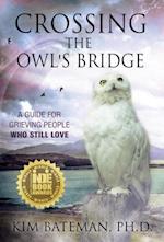 Crossing the Owl's Bridge