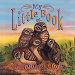 My Little Book of Burrowing Owls (My Little Book Of...)