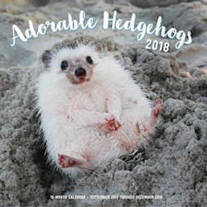 Adorable Hedgehogs Mini 2018