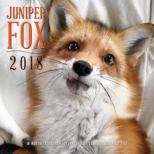 Juniper Fox 2018