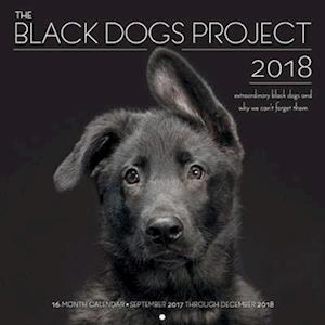 The Black Dogs Project 2018
