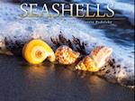 Cal- Seashells