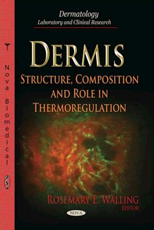 Dermis