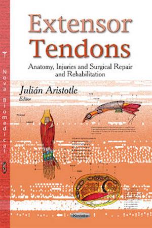 Extensor Tendons