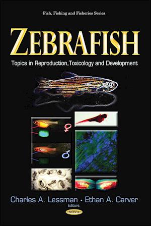 Zebrafish