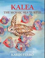 Kalea the Magic Sea Turtle 