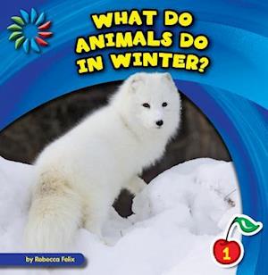 What Do Animals Do in Winter?