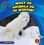 What Do Animals Do in Winter?