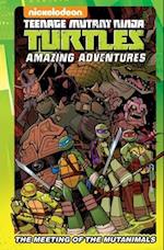 Teenage Mutant Ninja Turtles Amazing Adventures